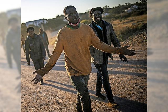 850 Migranten überwinden Grenzzaun