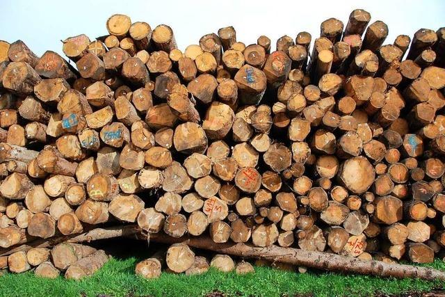 Guter Holzpreis erleichtert den Start der Waldgenossenschaft Breisgau-Hochschwarzwald