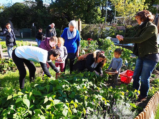 Auch das Urban Gardening in Friedlinge...ner der Stadt einander nherzubringen.  | Foto: Herbert Frey