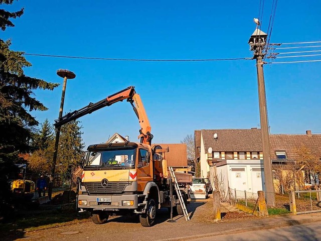 Vom Strommast aus beobachtete ein Stor...ellen des Nistmastes durch den Bauhof.  | Foto: Iris Heitz