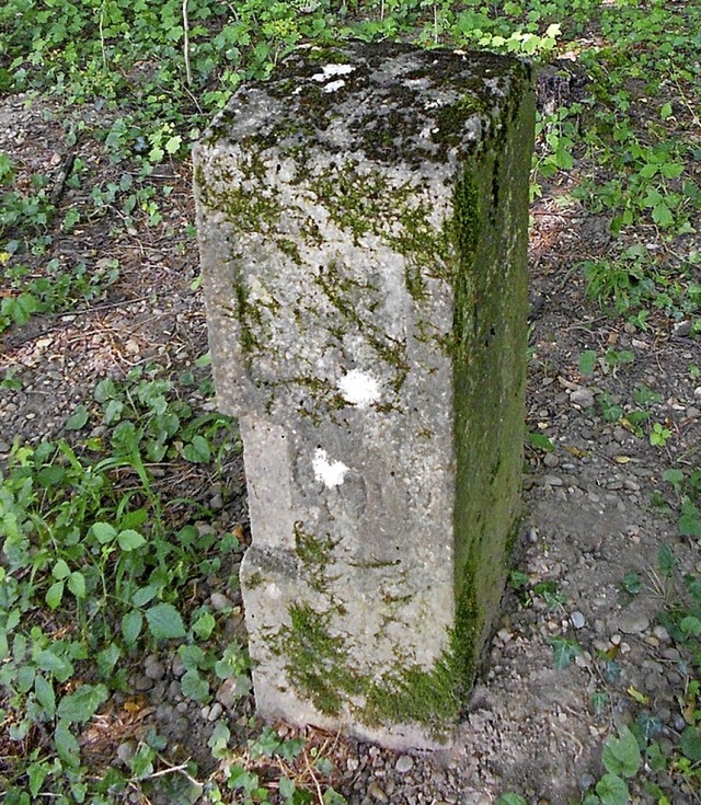 Rckmarke im Wald bei Kirchen  | Foto: Victoria Langelott