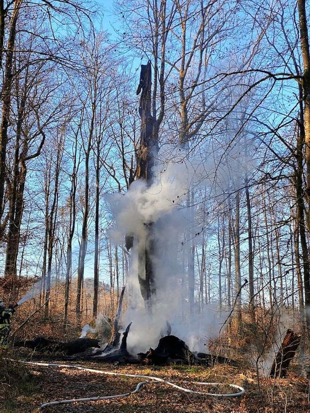 Der uralte Baum war von den Feuerwehrl...en blieb nur noch ein Stumpf im Boden.  | Foto: Freiwillige Feuerwehr Lrrach