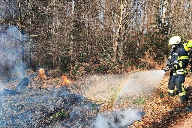 Wanderer melden Flchenbrand in Kollnau, Kche in Waldkirch fngt Feuer