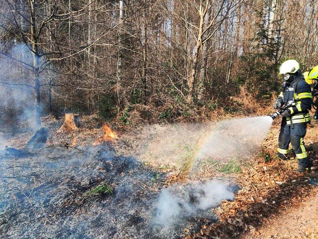 Die Kollnauer Feuerwehr brachte den Flchenbrand schnell unter Kontrolle.  | Foto: FFW Waldkirch