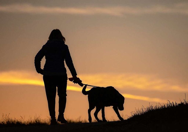 Beim Versuch, einem Hund auszuweichen,... Frau unglcklich zu Fall (Symbolbild)  | Foto: Sebastian Gollnow (dpa)