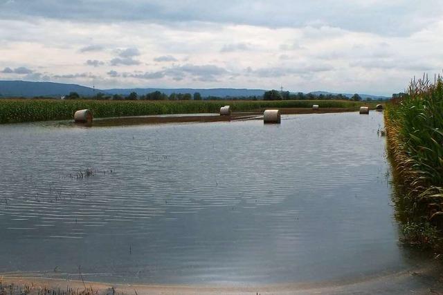 Viele Fragen zu den Plänen für einen Hochwasserdamm in Orschweier