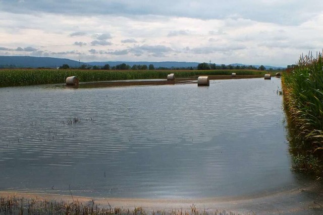 Im Juli 2014 herrschte Hochwasser in T... standen tagelang Felder unter Wasser.  | Foto: Rudi Rest