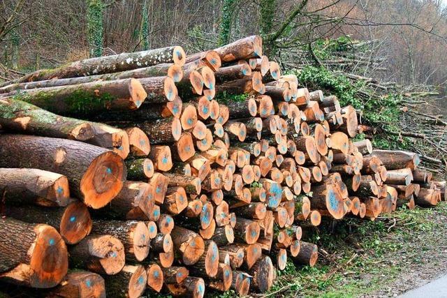 Die Maulburger Holzversteigerung findet wieder im Freien statt