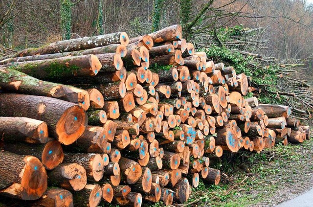 In Maulburg wird Holz wieder Open Air versteigert.  | Foto: Ralph Lacher