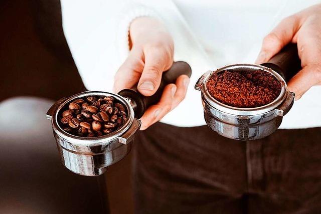 5 Senses Coffee, Baristakurse in Freiburg