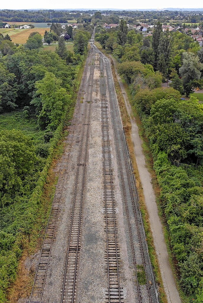 MPs continue to rely on railway construction to Colmar – Breisgau-Hochschwarzwald district