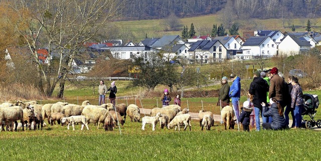   | Foto: Hansjrg Vgele