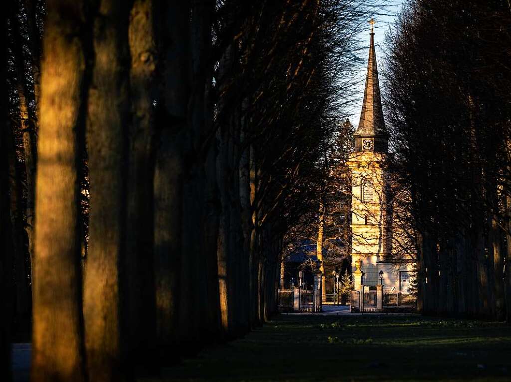 Celle: Ein Turm der Kirche St. Ludwig ist im Licht der aufgehenden Sonne hinter einer Allee im Franzsischen Garten zu sehen.