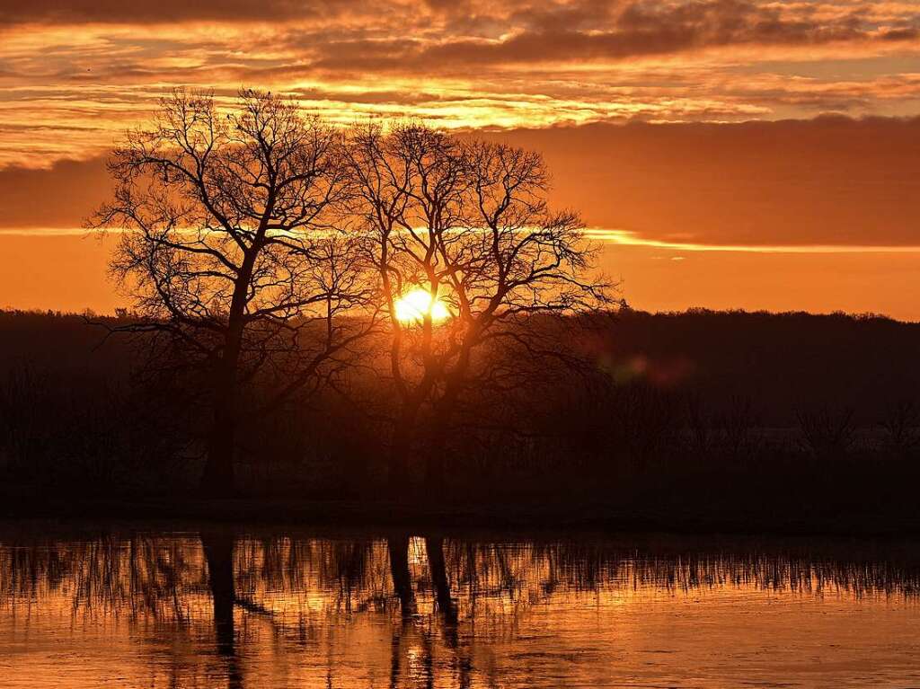 Frankfurt (Oder): Das erste Tageslicht vom Sonnenaufgang leuchtet ber der Landschaft am deutsch-polnischen Grenzfluss Oder.