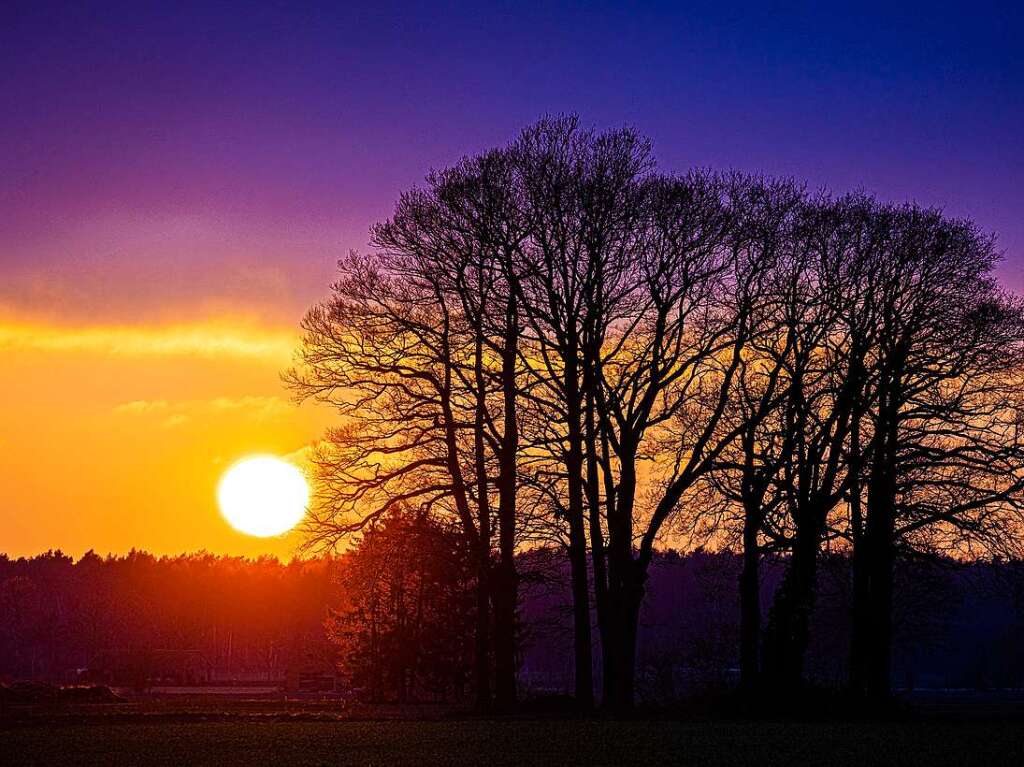 Uetze: Die Sonne geht hinter kahlen Bumen in der Region Hannover unter.