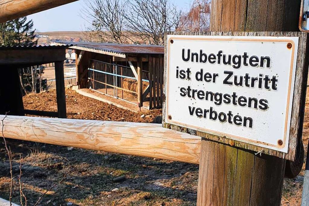 Das Schild hängt hier aus gutem Grund: Die Tiere sind nicht immer so sanftmütig.  | Foto: André Hönig