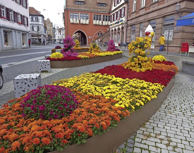 Nicht nur zur Chrysanthema soll die Altstadt aufblhen.   | Foto: Stadt Lahr