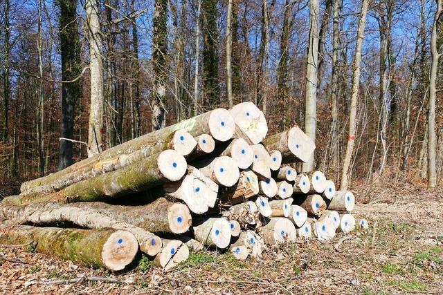 Nachfrage nach Brennholz bei der Waldservice Ortenau und in Neuried steigt rasant