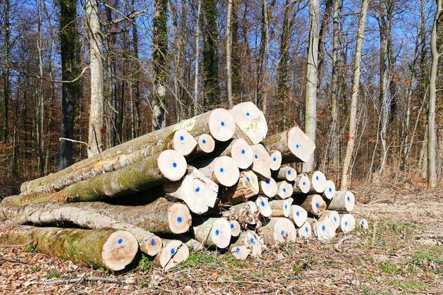Holz ist ein zur Zeit begehrtes Brennmaterial.  | Foto: Victoria Langelott