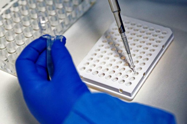 PCR-Tests werden angewendet, um positive Schnelltests zu berprfen.  | Foto: Henning Kaiser (dpa)