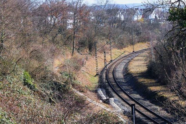 Die verschwundene Eisenbahn: Einst fuhren Zge von Weil am Rhein nach Saint-Louis