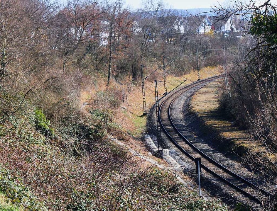 In dieser Kurve unterhalb der Bundesst...lag der alte Haltepunkt Haltingen-Süd.  | Foto: Rolf Reißmann