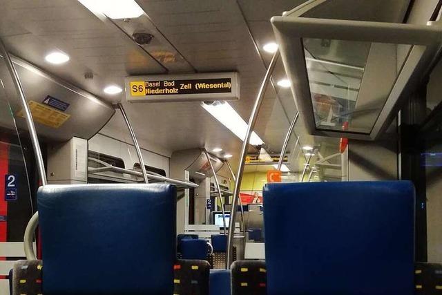 Security-Mitarbeiter wird in Zug der S6 niedergeschlagen und getreten