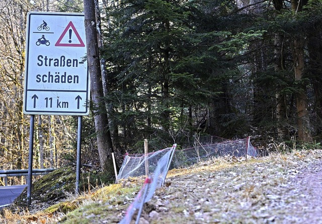 Krtenschutzzaun an der Strae zum Kandel  | Foto: Patrik Mller