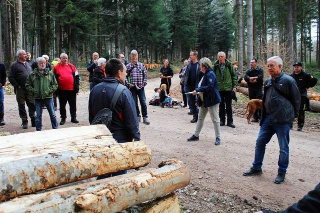 20.000 Euro Einnahmen aus dem Wald für die Gemeinde Maulburg