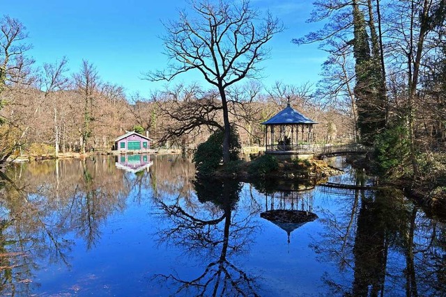 Der Waldsee in Freiburg: Fr Krten un...che ist er ein beliebtes Laichgebiet.   | Foto: Michael Bamberger