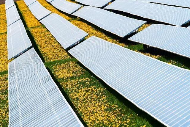In Mambach soll es keine Freiflächenanlage für Photovoltaik geben