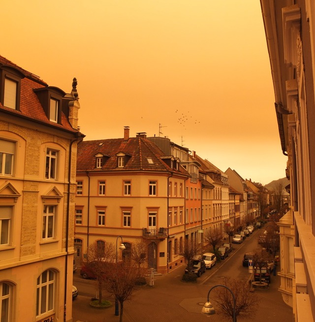 Gelb in gelb: Klarastrae im Sthlinger  | Foto: Margrit Heyn