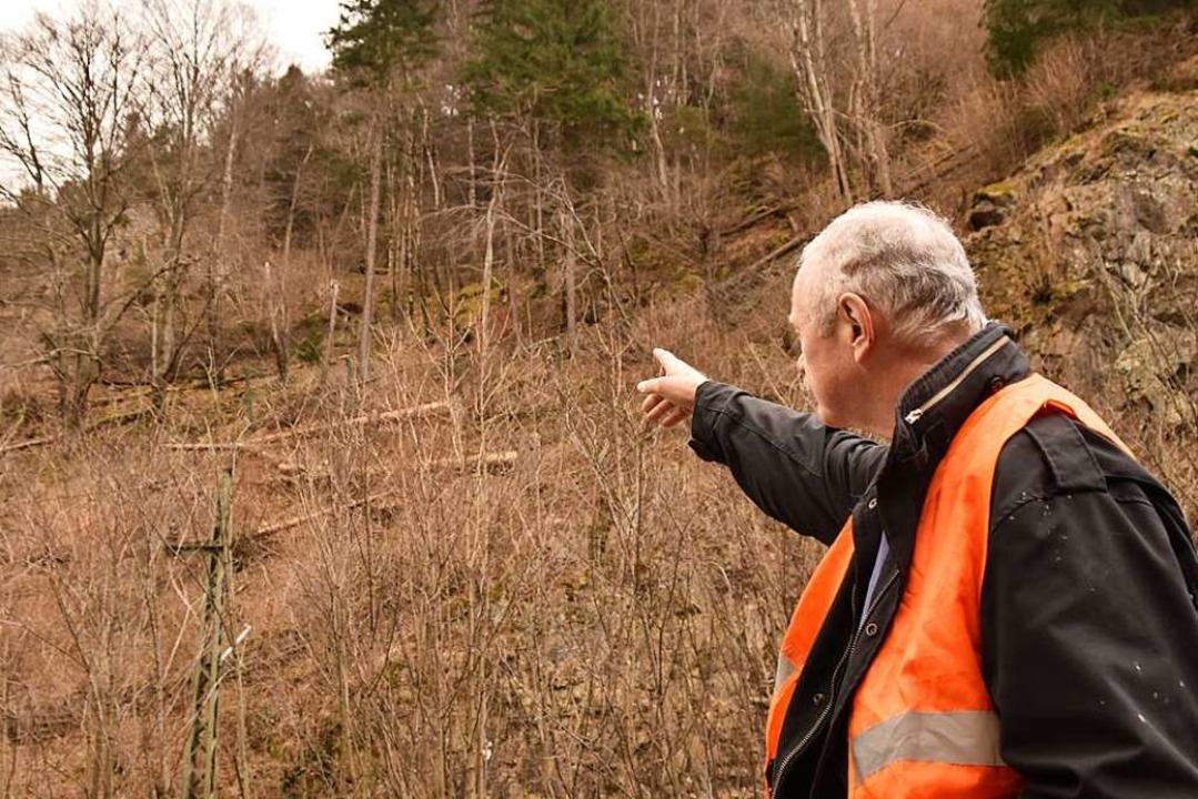 Ingenieurgeologe Clemens Ruch zeigt au...ental, wo sich ein Felsen gelst hat.   | Foto: Max Schuler