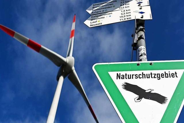 Bis 2026 sollen 1000 neue Windkraftanlagen in Baden-Württemberg gebaut werden