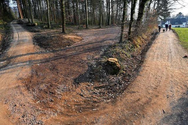 Naturschutzverein kritisiert geplanten Standort fr Freiburger Waldkindergarten