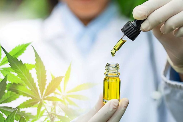 Cannabis kann seit fnf Jahren legal als Medizin eingesetzt werden.  | Foto: Eurox Pharma GmbH (dpa)