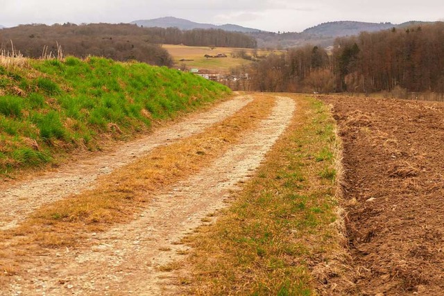 120 Kilometer Feldwege ziehen sich dur... dieser Weg bei Mappach sieht gut aus.  | Foto: Victoria Langelott