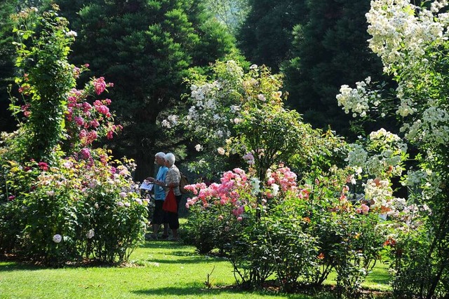 Wie Urlaub: das Rosenparadies des Landhauses Ettenbhl  | Foto: Landhaus Ettenbhl