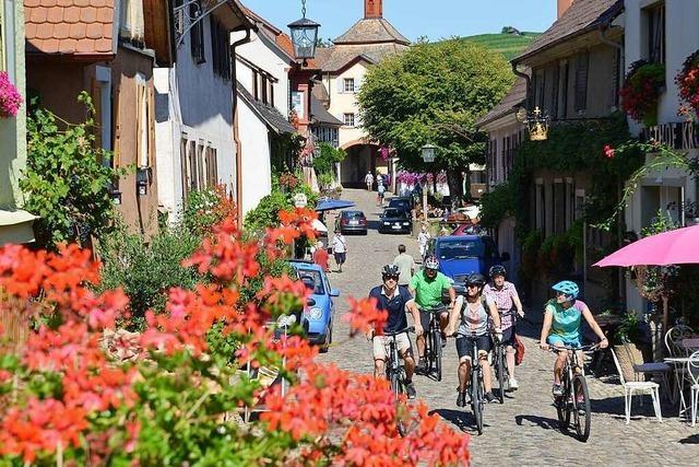 Radeln und dabei Leckereien genieen im und um den Kaiserstuhl