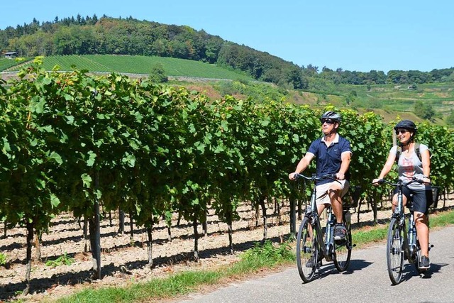 Ausflug durch die Reben  | Foto: P. Littner (Naturgarten Kaiserstuhl GmbH)