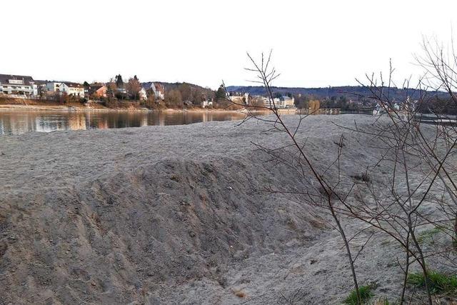 Am Rheinuferweg in Rheinfelden ist eine groe Sandbank entstanden