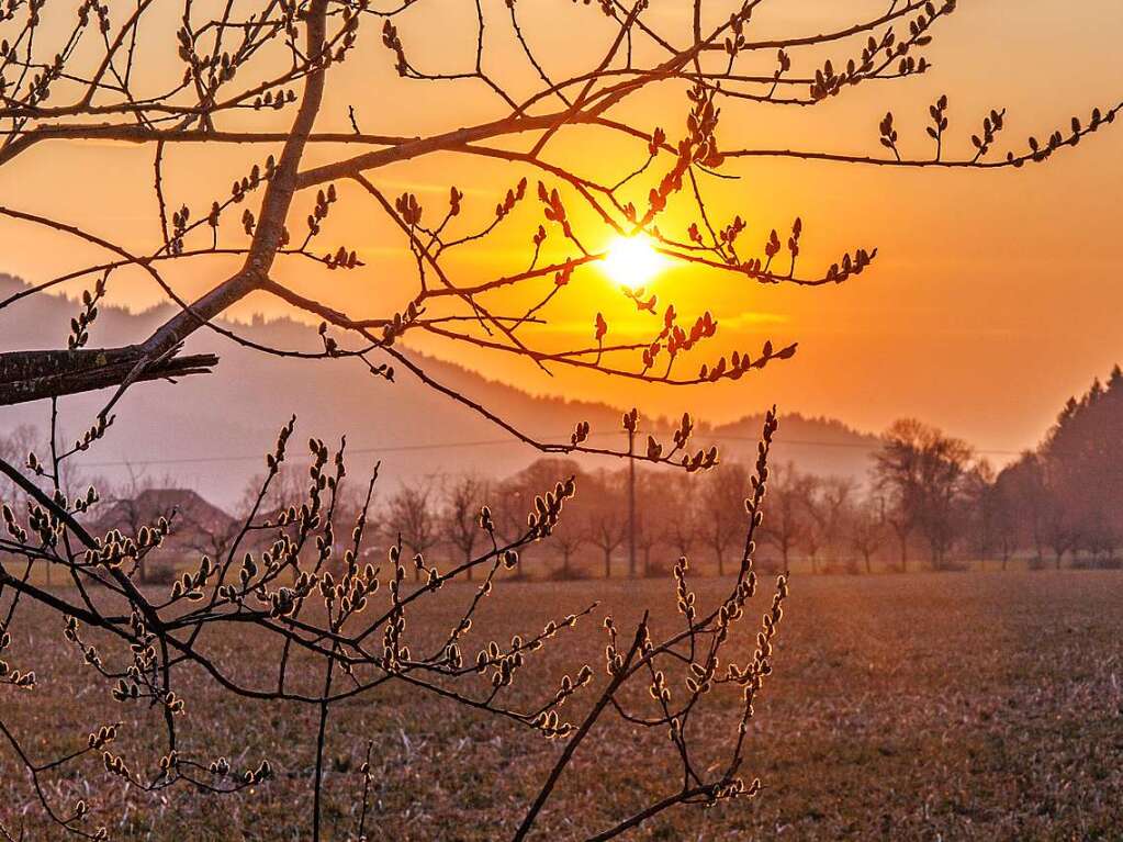 Sonnenuntergang  bei Wittental