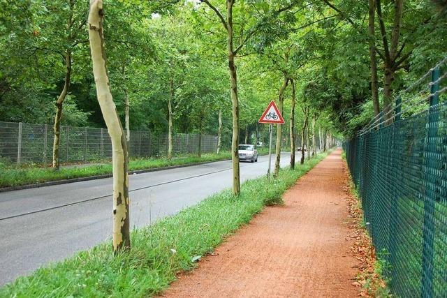 An der Alten Straße in Weil am Rhein werden 50 Bäume gefällt