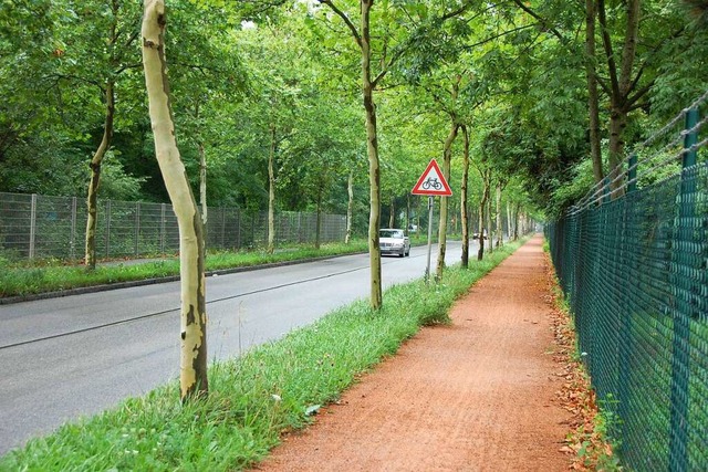 Deutlich mehr Bume an der Alten Strae sind nicht mehr standfest.  | Foto: Herbert Frey