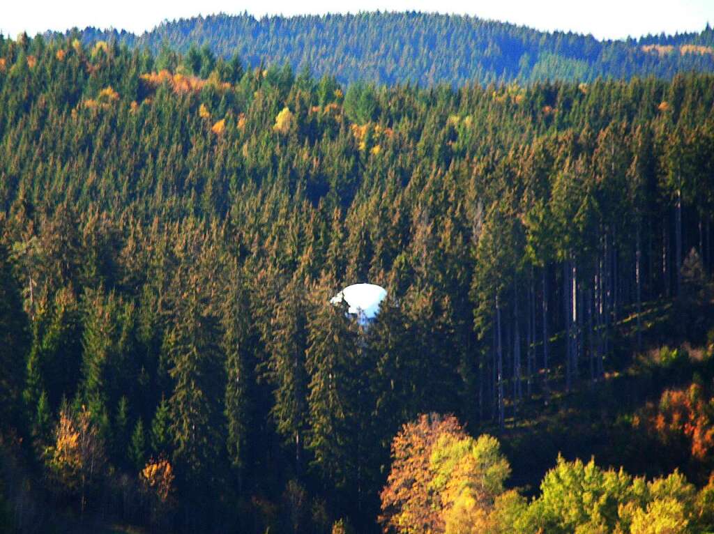 Oktober 2014: In Neustadt befreit die Bergwacht die Besatzung aus einem Heliumballon, der sich in den Baumwipfeln verfangen hat.