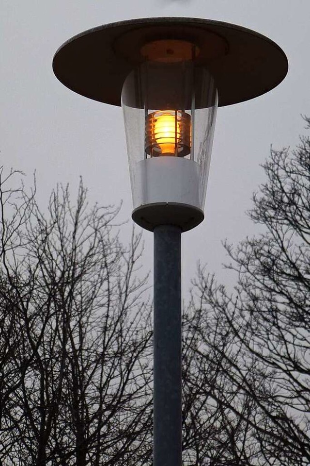 Nicht ausgetauscht werden die Natriumd...tenteils in Eisenbach vorhanden sind.  | Foto: Gert Brichta