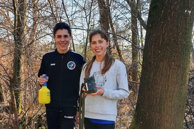 Einfach tierisch: Wie es zwei Gymnasiasten aus Emmendingen zum Landesfinale von Jugend forscht schafften