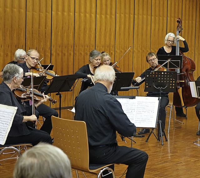 Das Leimentaler Kammerorchester ist ei...ld zeigt das Konzert im November 2021.  | Foto: Roswitha Frey