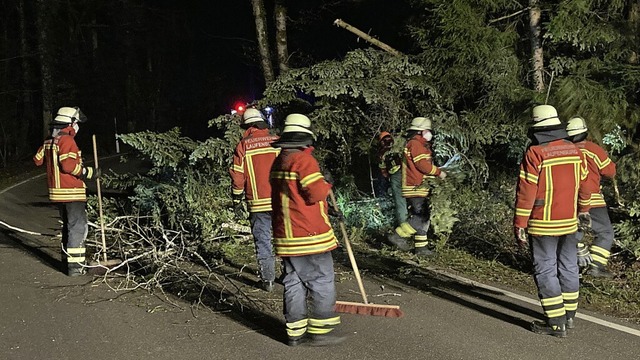   | Foto: Feuerwehr Laufenburg