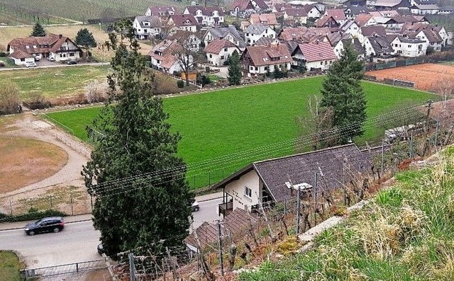 Auf dem ehemaligen Durbacher Graf-Mett...oll Durbachs neuer Ortspark entstehen.  | Foto: Winfried Kninger